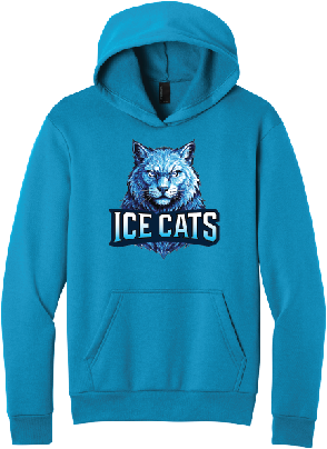 Ice Cats Hoodie